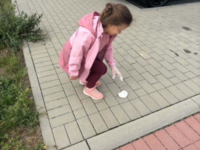 Akcja Sprzątanie świata