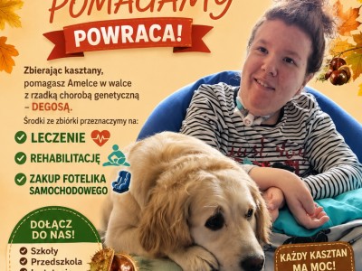 Kasztany zbieramy